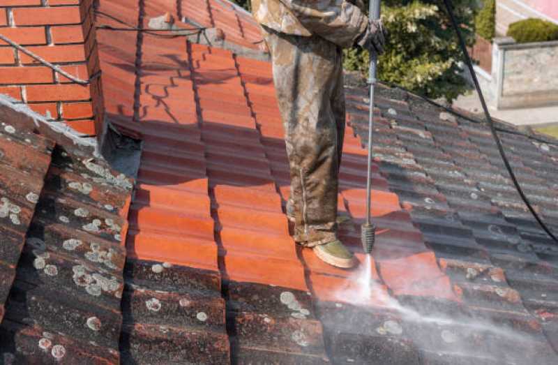 roof maintenance and cleaning